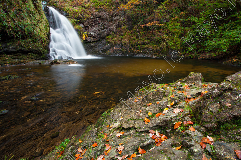 Tourmakeady-Waterfall-located-along-a-beautiful-woodland-trail 
 Tourmakeady Falls, Tourmakeady, County Mayo, Ireland. 
 Keywords: Irish, waterfalls, waterfall, cascades, autumn, autumnal, fall, colour, color, colours, colors, season, seasonal, trees, woodlands, woods, woodland, rivers, river, streams, stream, chutes, leaf, leaves, landscapes, landscape, outdoors, scenery, scenes, water, flowing, pure, clean, cleanliness, nature, natural