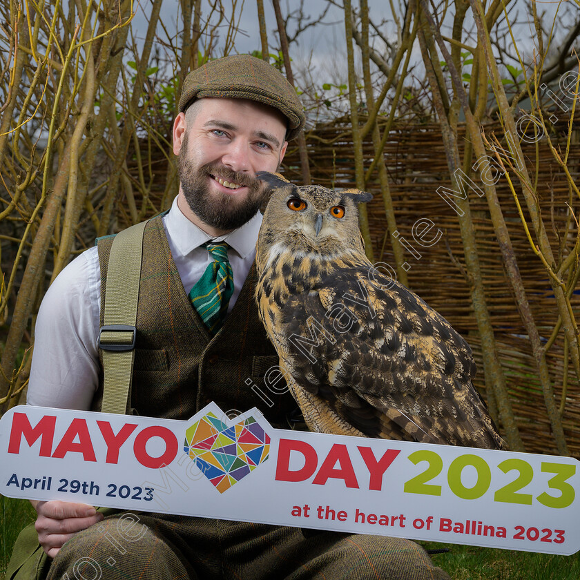 MayoDay2023-1659 
 Mayo Day 29th of April to celebrate all things Mayo, with the flagship event taking place in Ballina for the first time as part of the Ballina 2023 celebrations. Mount Falcon hotel falconer Daniel Gibbons with "Rascal" the eurasian eagle owl, one of the many birds of prey that will be on display for Mayo Day. Pic: Michael Mc Laughlin