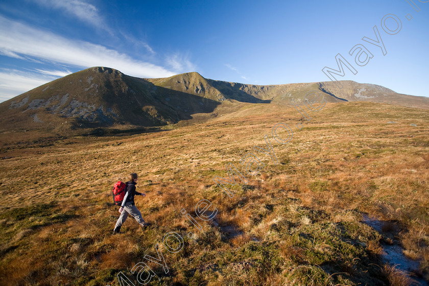 Walker-along-the-Bangor-Trail 
 Walker approaching the east face of Slieve Carr, Nephin Beg Mountains, Co Mayo, Ireland. 
 Keywords: Irish, hills, mountains, peaks, outdoors, scenery, scenes, hillwalking, walks, walking, walkers, hikes, hiking, hikers, treks, trekking, trekkers, activity, activities, pursuits, leisure, recreation, person