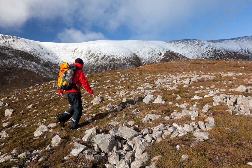 Walker-in-the-Nephins 
 Walker climbing Nephin from the southeast, Co Mayo, Ireland. 
 Keywords: irish, landscapes, hillwalking, walks, walking, walkers, hikes, hiking, hikers, treks, trekking, trekkers, routes, activity, activities, outdoors, pursuits, leisure, recreation, hills, mountains, peaks, summits, outdoors, landscapes, scenery, scenes, person, single, alone, backpack adventurous, winter, snow, climbing